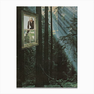 Forest Green & Black Canvas Print