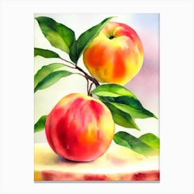 Nectarine Italian Watercolour fruit Canvas Print