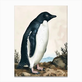 Adlie Penguin Carcass Island Vintage Botanical Painting 4 Canvas Print