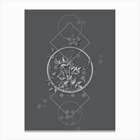 Vintage Single Dwarf Chinese Rose Botanical with Line Motif and Dot Pattern in Ghost Gray Canvas Print