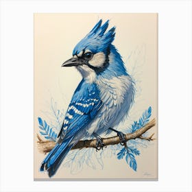 Blue Jay 3 Canvas Print