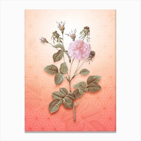 Pink Agatha Rose Vintage Botanical in Peach Fuzz Asanoha Star Pattern n.0252 Canvas Print