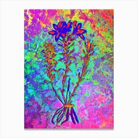 Lily of the Incas Botanical in Acid Neon Pink Green and Blue n.0242 Canvas Print