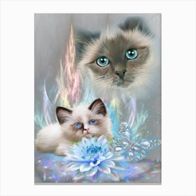 Two Cats With Blue Eyes Canvas Print