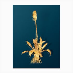 Vintage Swamp Pink Botanical in Gold on Teal Blue Canvas Print