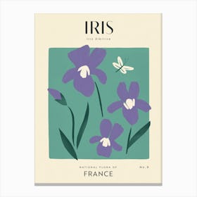 Vintage Green And Purple Iris Flower Of France Canvas Print