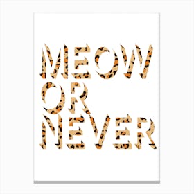 Meow Or Never Canvas Print
