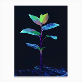 Plant Sprouting From The Ground Canvas Print