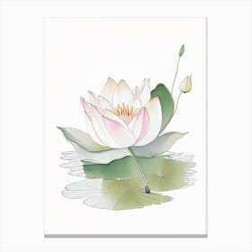 Blooming Lotus Flower In Pond Pencil Illustration 1 Canvas Print