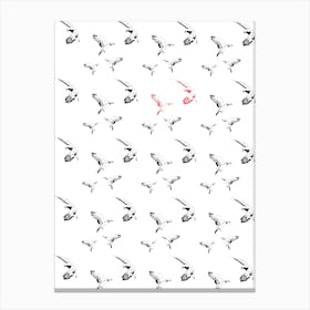 Pigeons Canvas Print