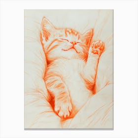 Cat Sleeping Canvas Print