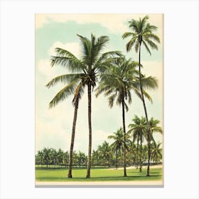 Playa Rincon Dominican Republic Vintage Canvas Print