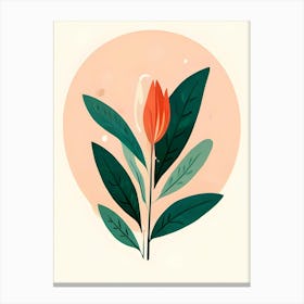 Tulip 4 Canvas Print