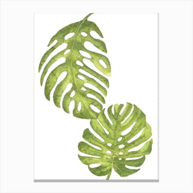 Light Green Watercolour Leaf Plants Canvas Print