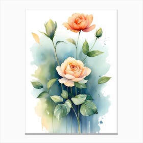 Watercolor Roses 6 Canvas Print