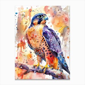 Falcon Colourful Watercolour 4 Canvas Print
