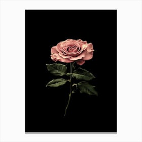 Rose On Black Background 4 Canvas Print