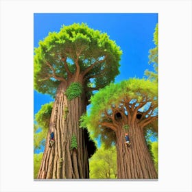 Two Trees In The Forest Canvas Print