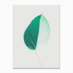 Mint Leaf Abstract 1 Canvas Print