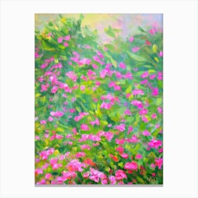 Geranium Impressionist Painting Plant Canvas Print