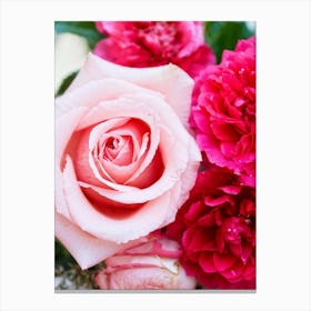 A Closeup Of A Rose The Archetype Of Romance And Beauty Rendered In Vibrant Hues Such As Tender Pi 2 1 Canvas Print