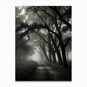 Misty Forest Canvas Print