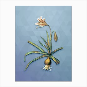 Vintage Amaryllis Broussonetii Botanical Art on Summer Song Blue Canvas Print