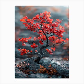 Red Tree On A Rock Canvas Print