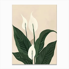 Peace Lily Plant Minimalist Illustration 6 Canvas Print