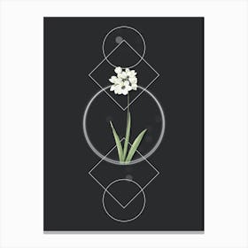 Vintage Ixia Maculata Botanical with Geometric Line Motif and Dot Pattern n.0035 Canvas Print