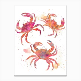 Crabs 1 Canvas Print