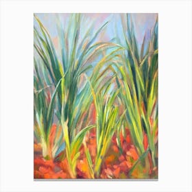 Tillandsia Impressionist Painting Plant Canvas Print