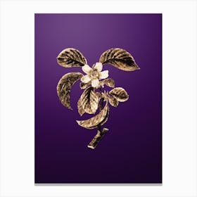 Gold Botanical Chinese Quince on Royal Purple n.2898 Canvas Print