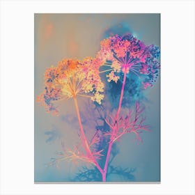 Iridescent Flower Queen Annes Lace 1 Canvas Print