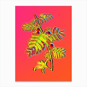 Neon Sweet Acacia Botanical in Hot Pink and Electric Blue Canvas Print