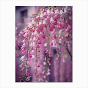 Pink Wisteria Canvas Print