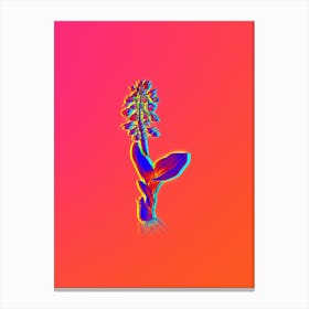 Neon Brown Widelip Orchid Botanical in Hot Pink and Electric Blue n.0386 Canvas Print