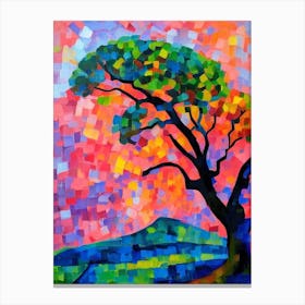 Live Oak Tree Cubist 2 Canvas Print