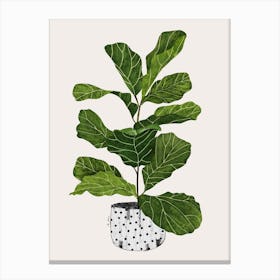Fiddle Leaf Fig Tree Plant Canvas Print