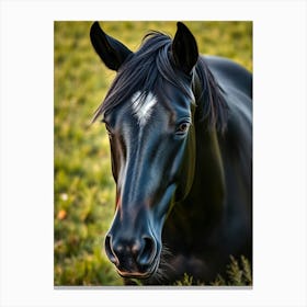 Black Horse Portrait Canvas Print