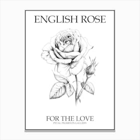 English Rose Black And White Line Drawing 8 Poster Canvas Print