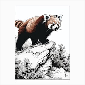 Red Panda Walking On A Mountain Ink Illustration 3 Canvas Print