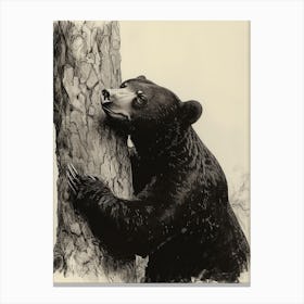 Malayan Sun Bear Scratching Its Back Against A Tree Ink Illustration 3 Canvas Print