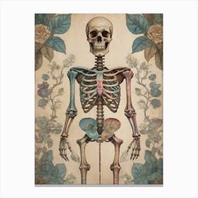 Botanical Skeleton Vintage Painting (6) Canvas Print