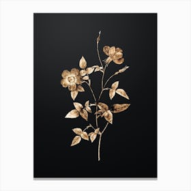Gold Botanical Indica Stelligera Rose on Wrought Iron Black n.0568 Canvas Print