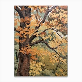 Ash 2 Vintage Autumn Tree Print  Canvas Print