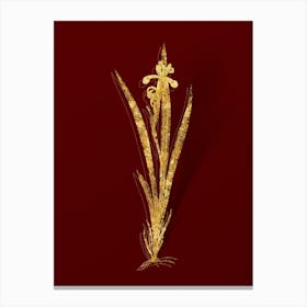 Vintage Yellow Banded Iris Botanical in Gold on Red n.0086 Canvas Print