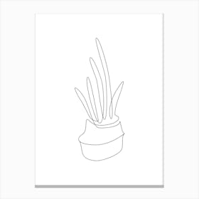Drawing Of A Plant Canvas Print