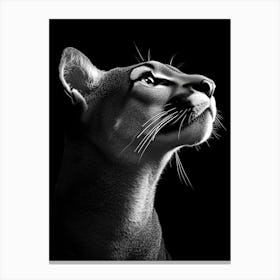 Portrait Of A Cougar Canvas Print