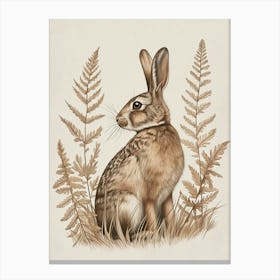 Tan Rabbit Drawing 4 Canvas Print